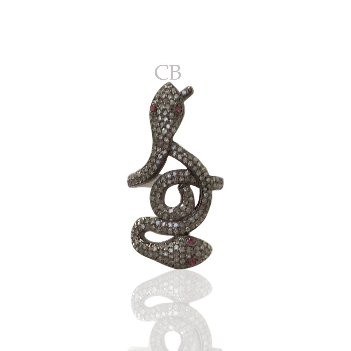Snake Diamond Ring and Silver Ruby Black Rhodium Finish Rings