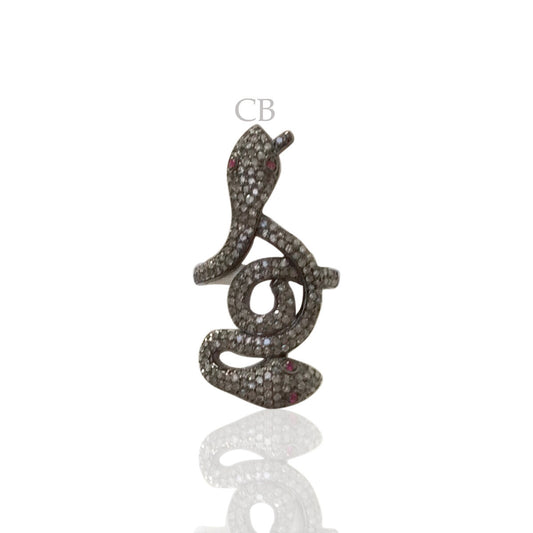 Snake Diamond Ring and Silver Ruby Black Rhodium Finish Rings